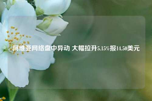 阿维亚网络盘中异动 大幅拉升5.15%报14.50美元