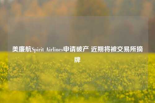 美廉航Spirit Airlines申请破产 近期将被交易所摘牌