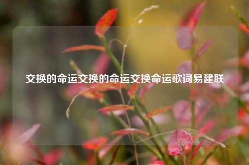 交换的命运交换的命运交换命运歌词易建联