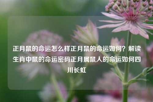 正月鼠的命运怎么样正月鼠的命运如何？解读生肖中鼠的命运密码正月属鼠人的命运如何四川长虹