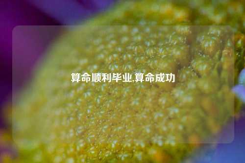 算命顺利毕业,算命成功