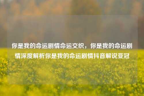 你是我的命运剧情命运交织，你是我的命运剧情深度解析你是我的命运剧情抖音解说亚冠