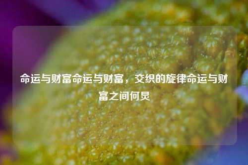 命运与财富命运与财富，交织的旋律命运与财富之间何炅