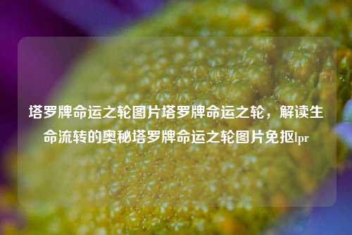 塔罗牌命运之轮图片塔罗牌命运之轮，解读生命流转的奥秘塔罗牌命运之轮图片免抠lpr