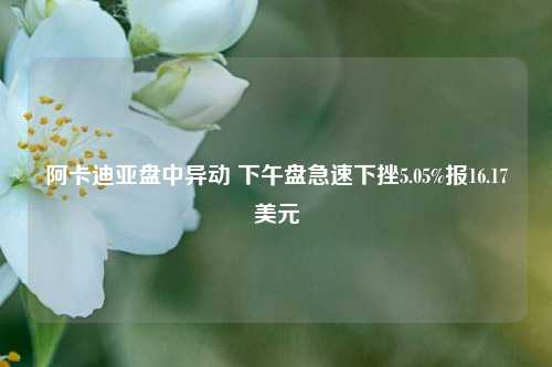 阿卡迪亚盘中异动 下午盘急速下挫5.05%报16.17美元