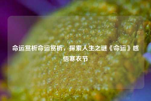 命运赏析命运赏析，探索人生之谜《命运》感悟寒衣节