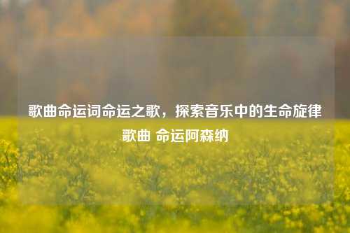 歌曲命运词命运之歌，探索音乐中的生命旋律歌曲 命运阿森纳