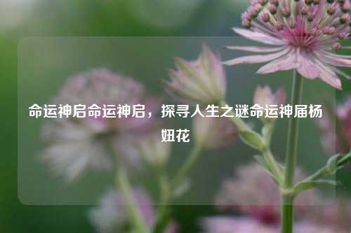 命运神启命运神启，探寻人生之谜命运神届杨妞花