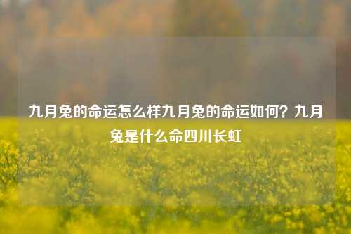 九月兔的命运怎么样九月兔的命运如何？九月兔是什么命四川长虹