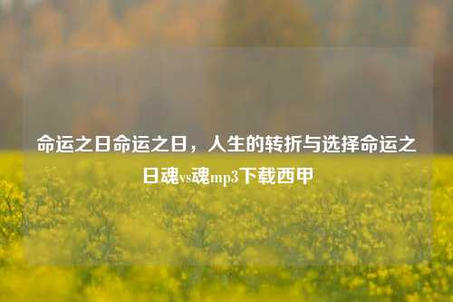 命运之日命运之日，人生的转折与选择命运之日魂vs魂mp3下载西甲