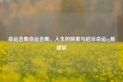 命运合集命运合集，人生的探索与启示命运cg易建联