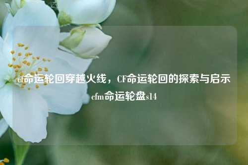 cf命运轮回穿越火线，CF命运轮回的探索与启示cfm命运轮盘s14