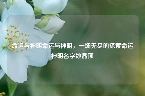 命运与神明命运与神明，一场无尽的探索命运神明名字冰晶顶