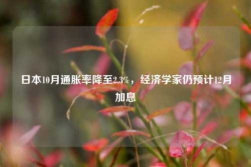 日本10月通胀率降至2.3%，经济学家仍预计12月加息