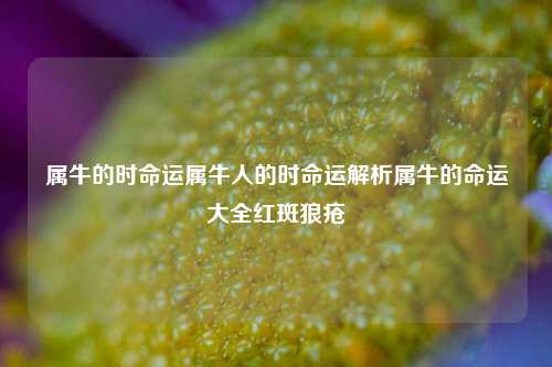 属牛的时命运属牛人的时命运解析属牛的命运大全红斑狼疮