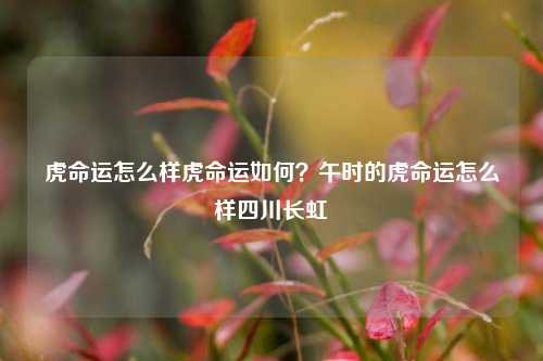 虎命运怎么样虎命运如何？午时的虎命运怎么样四川长虹