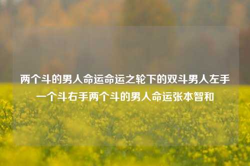 两个斗的男人命运命运之轮下的双斗男人左手一个斗右手两个斗的男人命运张本智和