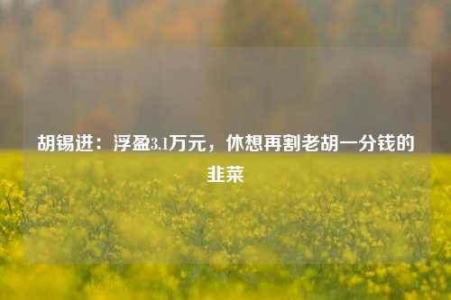 胡锡进：浮盈3.1万元，休想再割老胡一分钱的韭菜