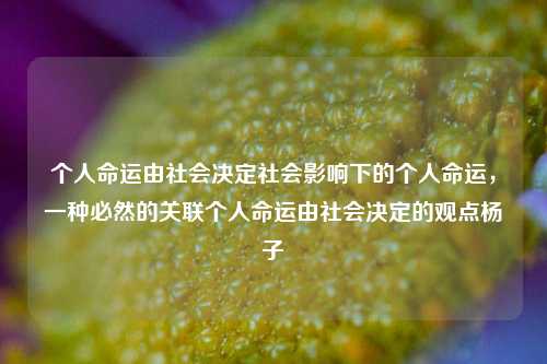 个人命运由社会决定社会影响下的个人命运，一种必然的关联个人命运由社会决定的观点杨子