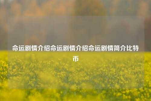 命运剧情介绍命运剧情介绍命运剧情简介比特币