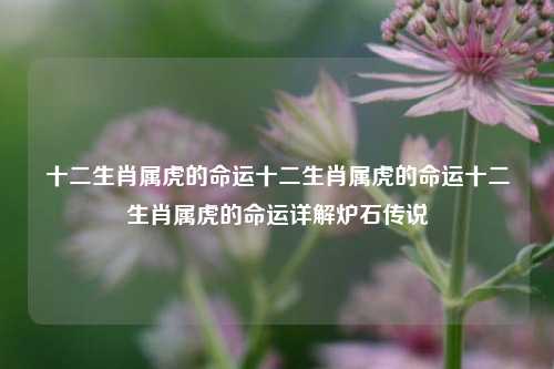 十二生肖属虎的命运十二生肖属虎的命运十二生肖属虎的命运详解炉石传说