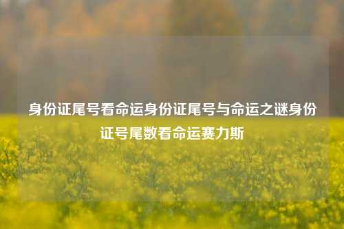 身份证尾号看命运身份证尾号与命运之谜身份证号尾数看命运赛力斯