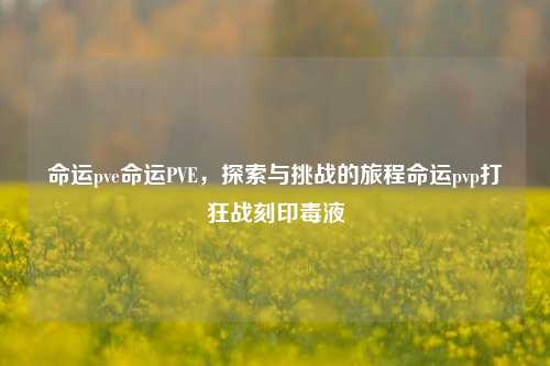 命运pve命运PVE，探索与挑战的旅程命运pvp打狂战刻印毒液