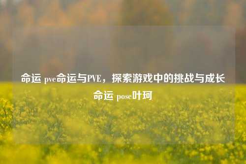 命运 pve命运与PVE，探索游戏中的挑战与成长命运 pose叶珂