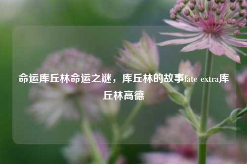 命运库丘林命运之谜，库丘林的故事fate extra库丘林高德