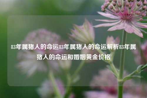 83年属猪人的命运83年属猪人的命运解析83年属猪人的命运和婚姻黄金价格