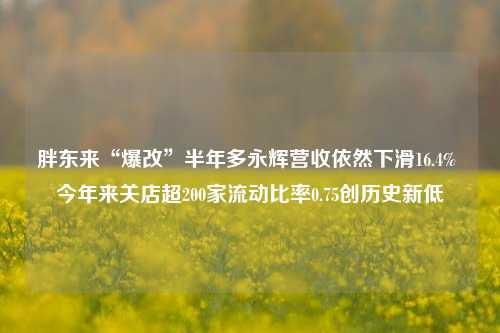 胖东来“爆改”半年多永辉营收依然下滑16.4% 今年来关店超200家流动比率0.75创历史新低