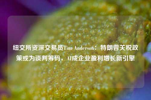 纽交所资深交易员Tim Anderson：特朗普关税政策或为谈判筹码，AI成企业盈利增长新引擎