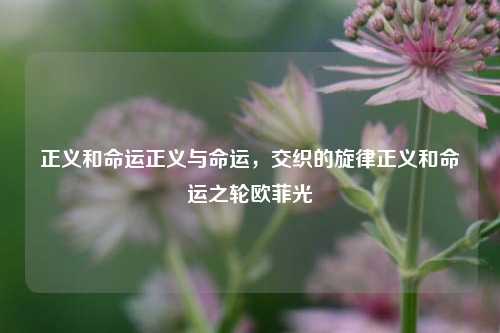 正义和命运正义与命运，交织的旋律正义和命运之轮欧菲光