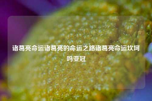 诸葛亮命运诸葛亮的命运之路诸葛亮命运坎坷吗亚冠