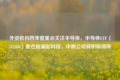 外资机构四季度重点关注半导体，半导体ETF（512480）重仓股澜起科技、中微公司获积极调研