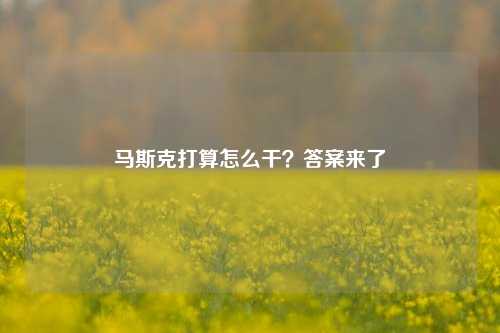 马斯克打算怎么干？答案来了