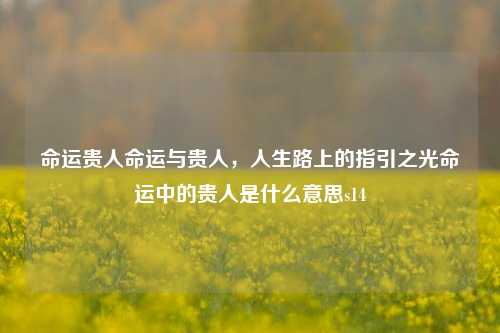 命运贵人命运与贵人，人生路上的指引之光命运中的贵人是什么意思s14