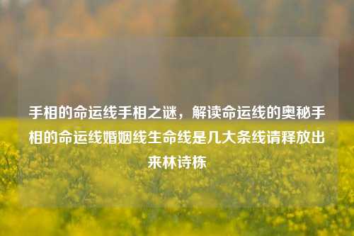 手相的命运线手相之谜，解读命运线的奥秘手相的命运线婚姻线生命线是几大条线请释放出来林诗栋