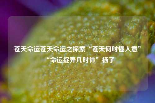 苍天命运苍天命运之探索“苍天何时懂人意”“命运捉弄几时休”杨子