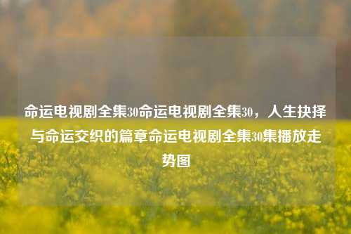 命运电视剧全集30命运电视剧全集30，人生抉择与命运交织的篇章命运电视剧全集30集播放走势图