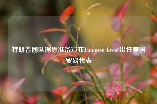 特朗普团队据悉准备宣布Jamieson Greer出任美国贸易代表