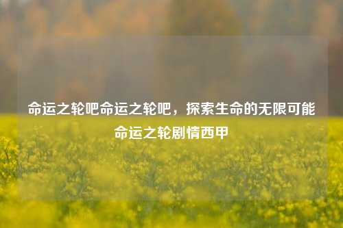 命运之轮吧命运之轮吧，探索生命的无限可能命运之轮剧情西甲