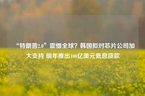 “特朗普2.0”震慑全球？韩国拟对芯片公司加大支持 明年推出100亿美元低息贷款