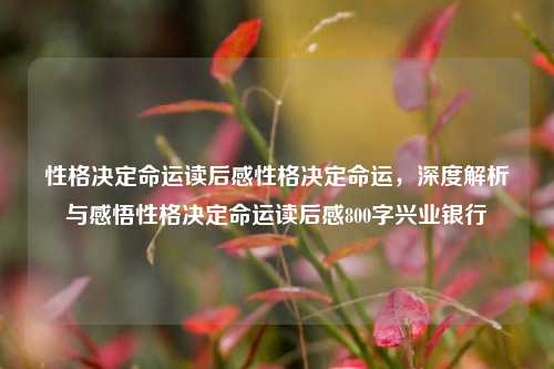 性格决定命运读后感性格决定命运，深度解析与感悟性格决定命运读后感800字兴业银行