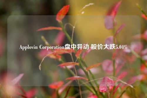 Applovin Corporation盘中异动 股价大跌5.04%