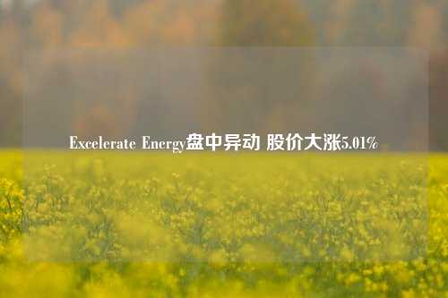 Excelerate Energy盘中异动 股价大涨5.01%