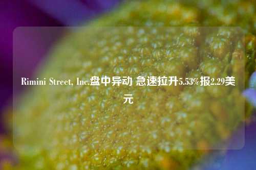 Rimini Street, Inc.盘中异动 急速拉升5.53%报2.29美元