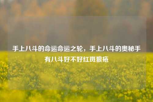 手上八斗的命运命运之轮，手上八斗的奥秘手有八斗好不好红斑狼疮