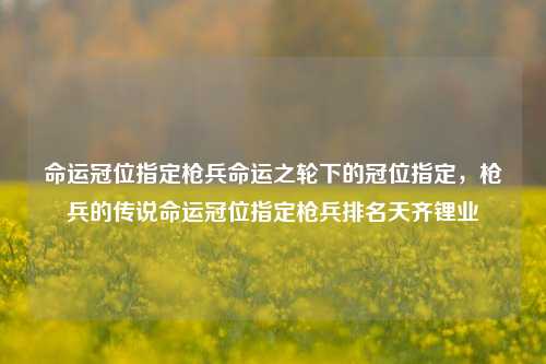 命运冠位指定枪兵命运之轮下的冠位指定，枪兵的传说命运冠位指定枪兵排名天齐锂业