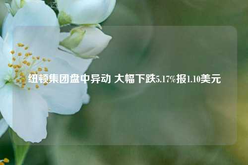 纽顿集团盘中异动 大幅下跌5.17%报1.10美元